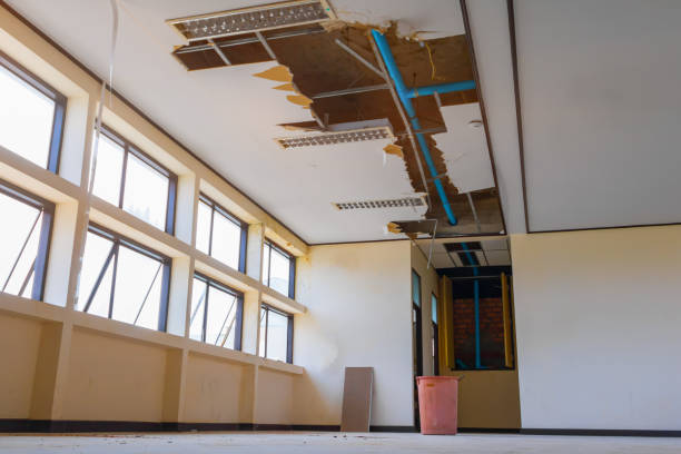Best Flooded house restoration  in Dunkirk, NY