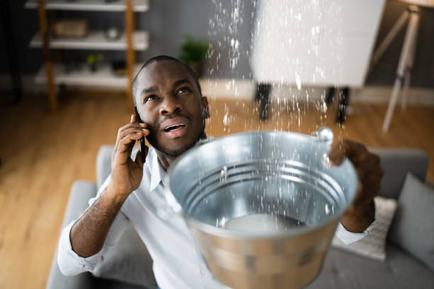 Best Mold removal after water damage  in Dunkirk, NY