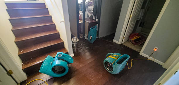 Best Flood damage cleanup  in Dunkirk, NY