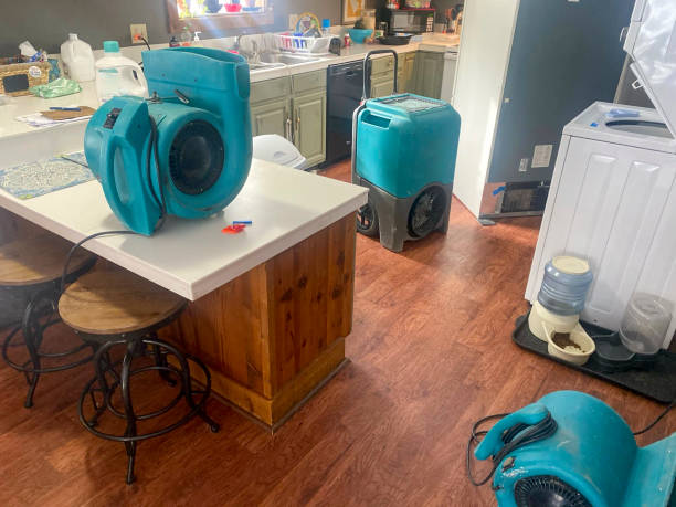Best Residential water damage restoration  in Dunkirk, NY